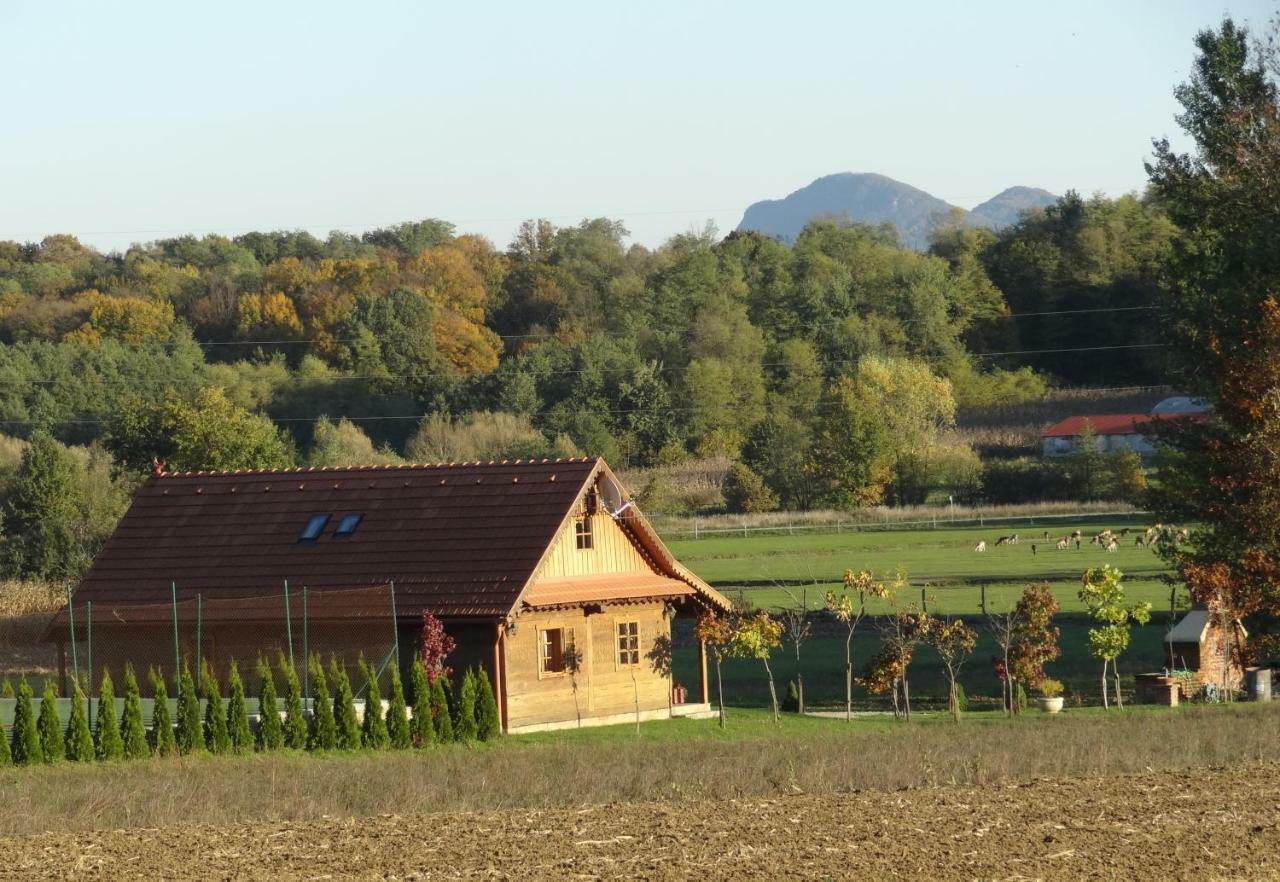 Old Oak House With Pool Villa Marusevec Exterior foto