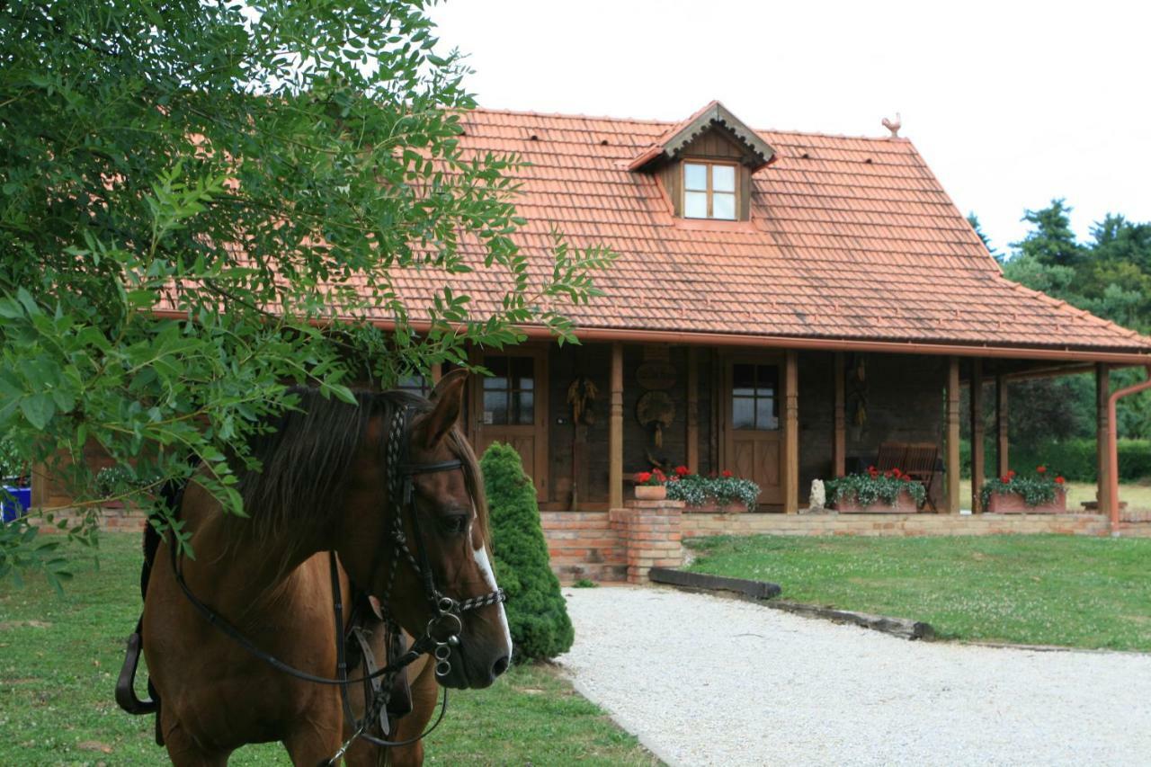 Old Oak House With Pool Villa Marusevec Exterior foto